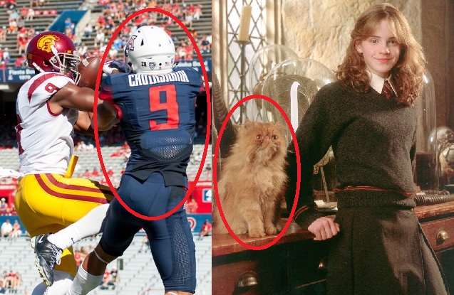 Hm...there might be something to this